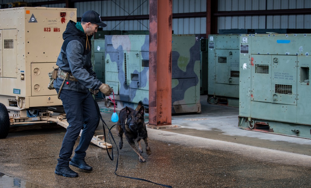 1st SOSFS MWDs sniff out explosives