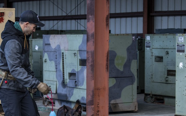 1st SOSFS MWDs sniff out explosives