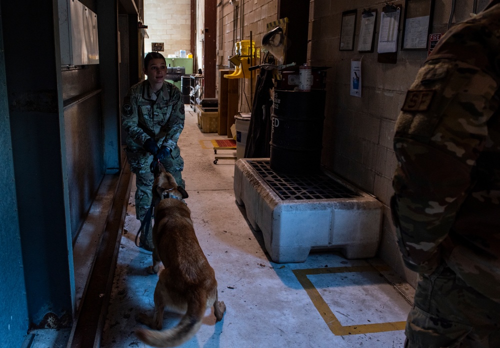 1st SOSFS MWDs sniff out explosives