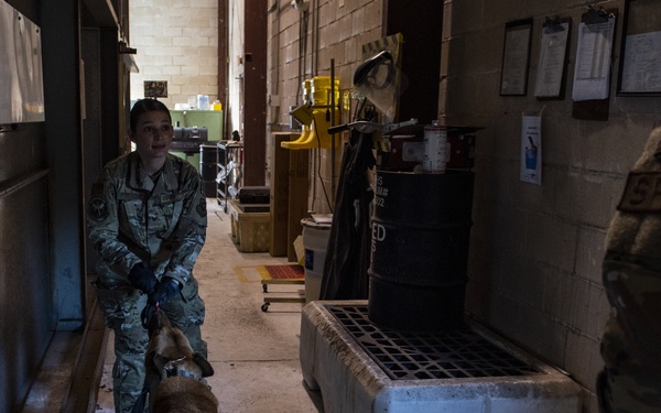1st SOSFS MWDs sniff out explosives