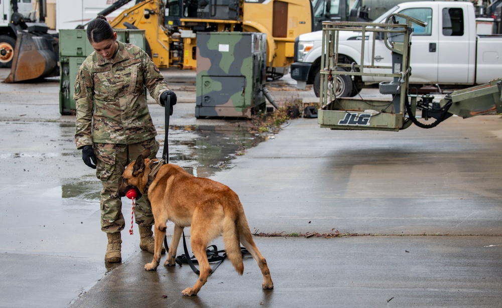 1st SOSFS MWDs sniff out explosives