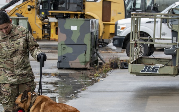 1st SOSFS MWDs sniff out explosives