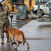 1st SOSFS MWDs sniff out explosives