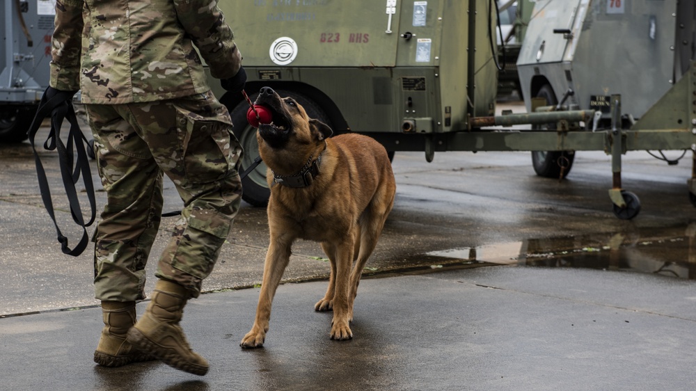 1st SOSFS MWDs sniff out explosives