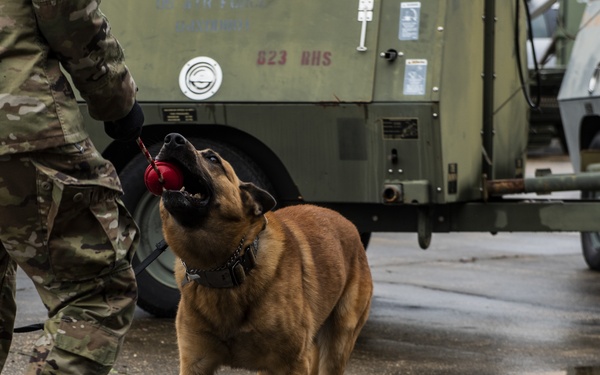 1st SOSFS MWDs sniff out explosives