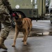 1st SOSFS MWDs sniff out explosives
