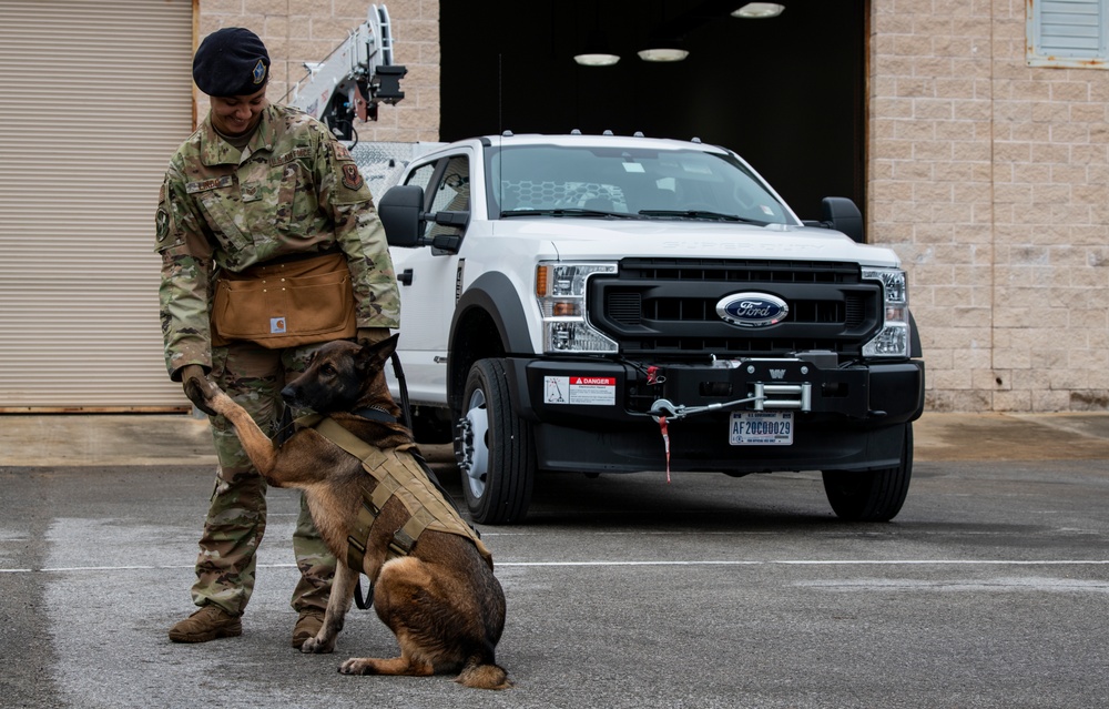 1st SOSFS MWDs sniff out explosives