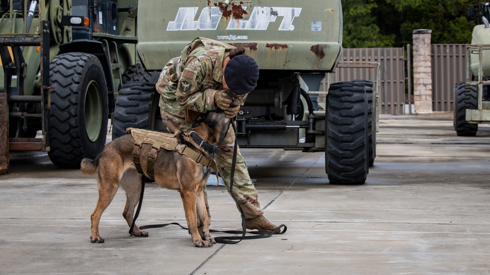 1st SOSFS MWDs sniff out explosives