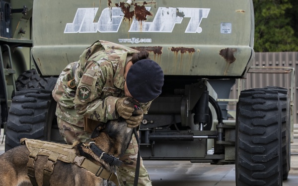 1st SOSFS MWDs sniff out explosives