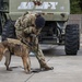 1st SOSFS MWDs sniff out explosives
