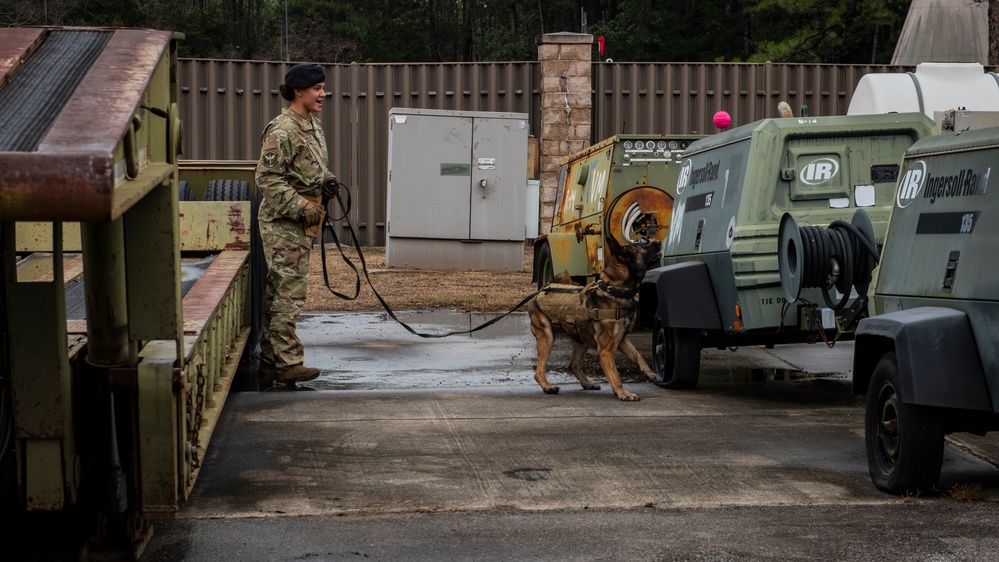 1st SOSFS MWDs sniff out explosives