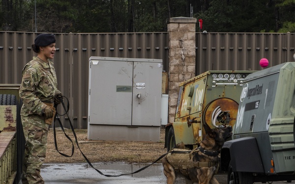 1st SOSFS MWDs sniff out explosives