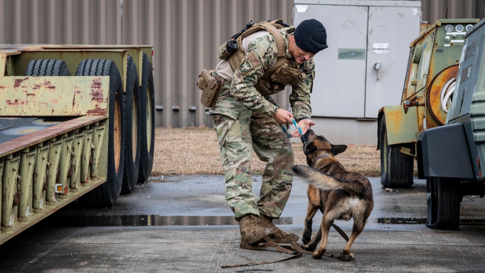 1st SOSFS MWDs sniff out explosives