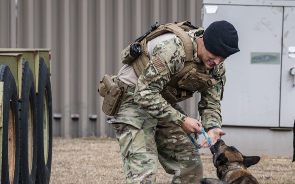 1st SOSFS MWDs sniff out explosives