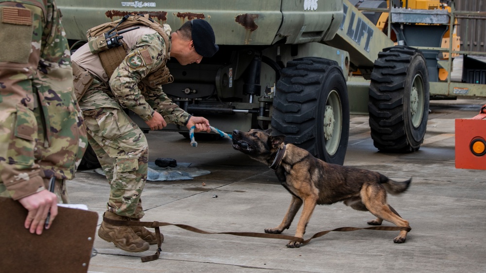 1st SOSFS MWDs sniff out explosives