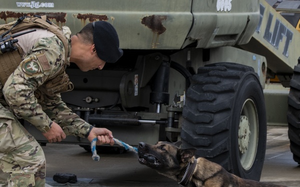 1st SOSFS MWDs sniff out explosives