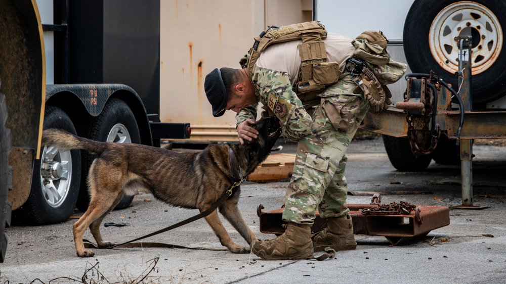 1st SOSFS MWDs sniff out explosives