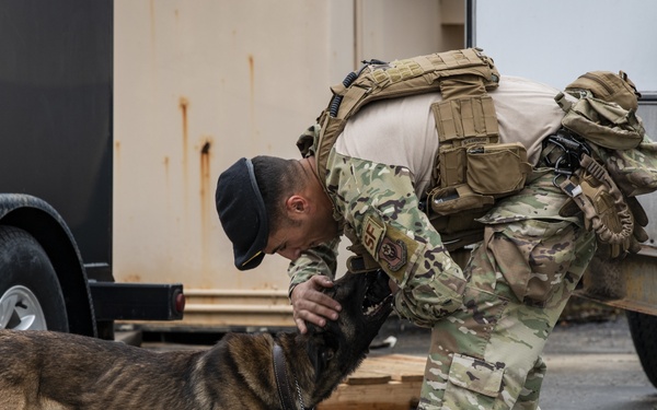 1st SOSFS MWDs sniff out explosives