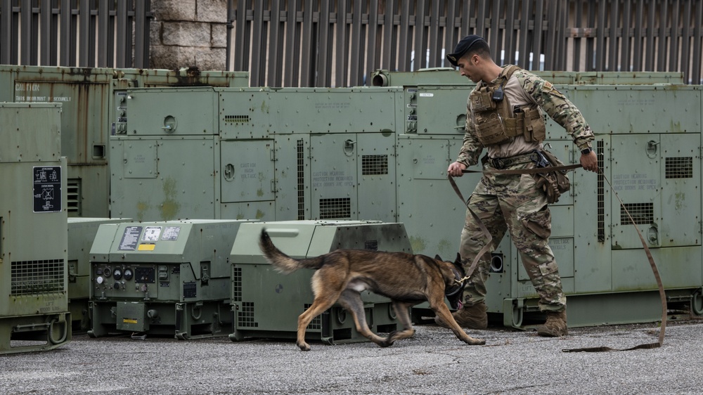 1st SOSFS MWDs sniff out explosives