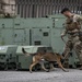 1st SOSFS MWDs sniff out explosives