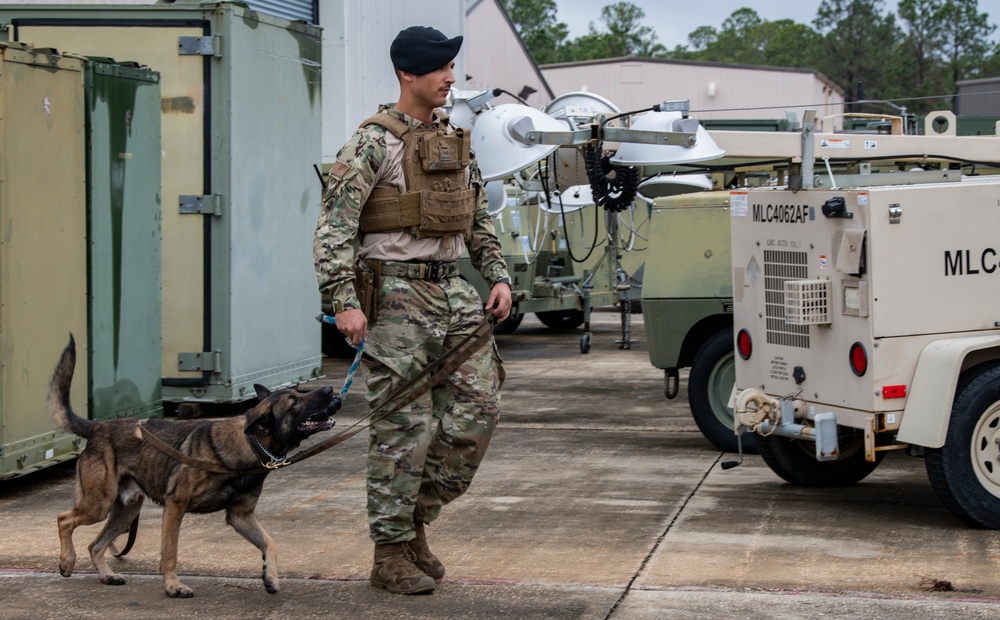 1st SOSFS MWDs sniff out explosives