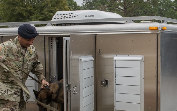 1st SOSFS MWDs sniff out explosives