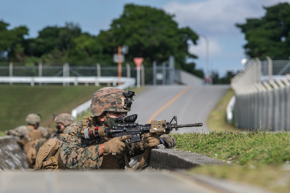 CLB 31, 31st MEU performs simulated NEO