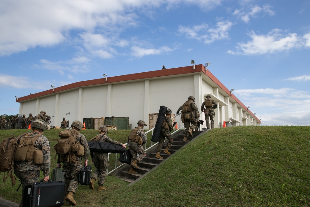 CLB 31, 31st MEU performs simulated NEO