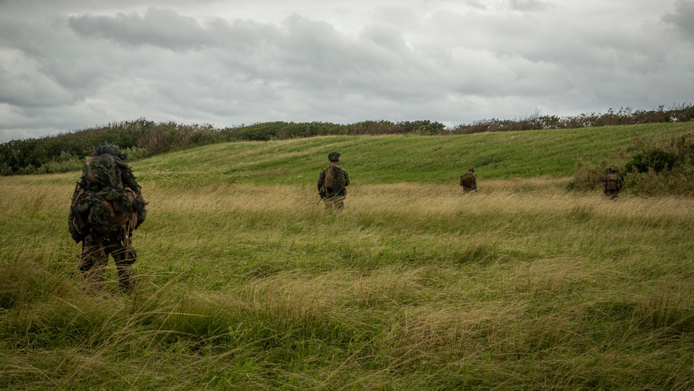 Helicopter raid - MEUEX