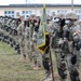 Eagle Assault Adapts, Assists NATO Allies