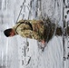 Cold-Weather Operations Course students fight chill factor for cold-water immersion training at Fort McCoy