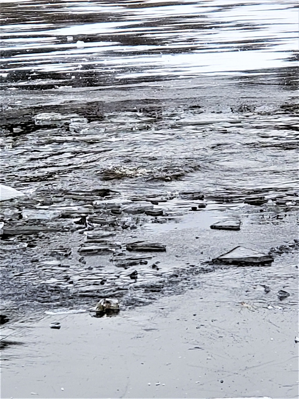 Cold-Weather Operations Course students fight chill factor for cold-water immersion training at Fort McCoy