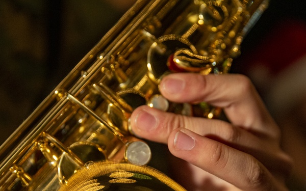 Tons of Holly and Jolly