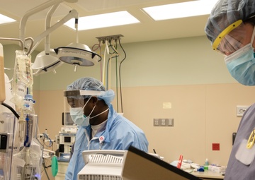 Fact Sheet: U.S. Army North COVID-19 Hospital Support Since November 2020