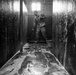 MWD Finding Home