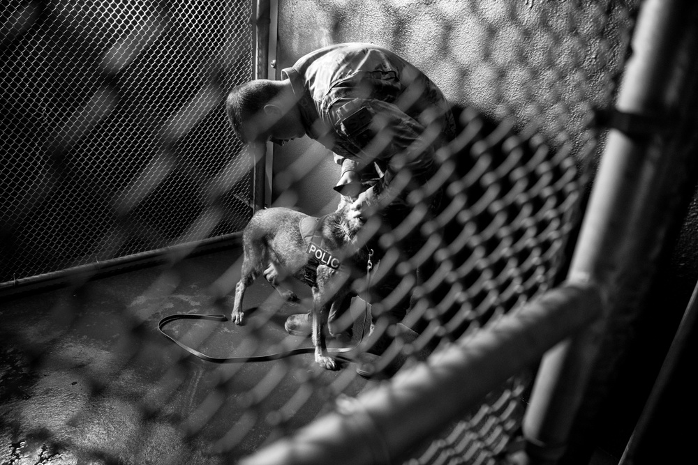 MWD Finding Home