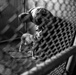 MWD Finding Home