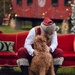 Santa Todd