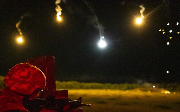 2020 U.S. Army Reserve Best Warrior Competition – M4 Night Fire