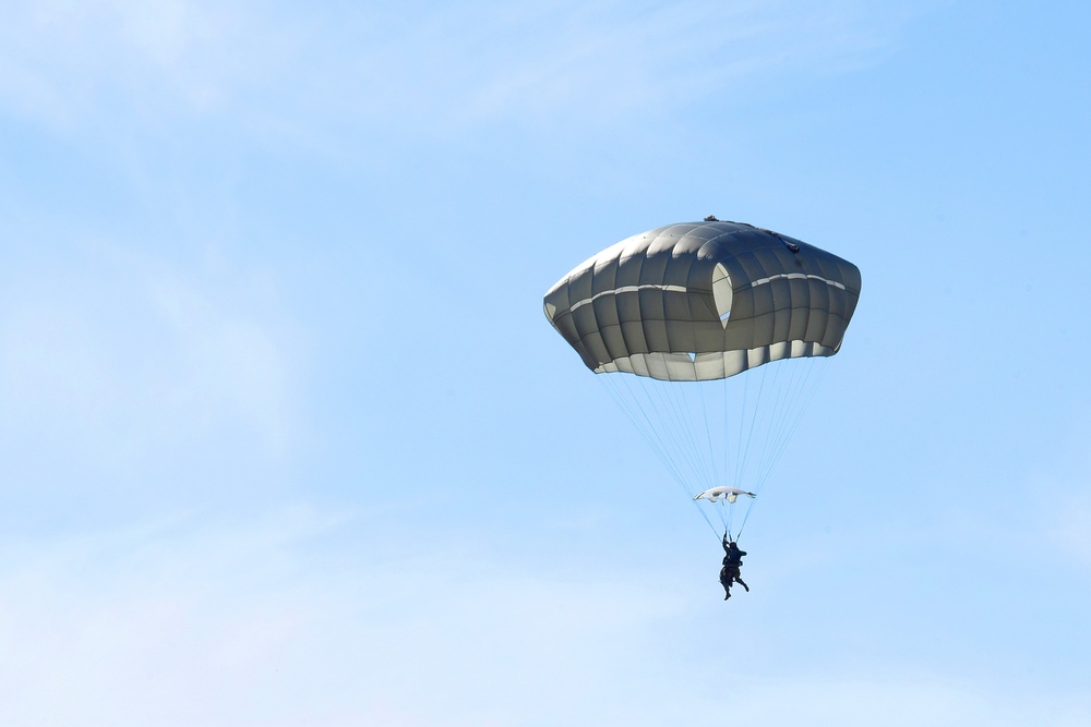 700th Airlift Squadron conducts airdrops at Dobbins