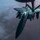 50th EARS provide fuel to F-15s/F-16s