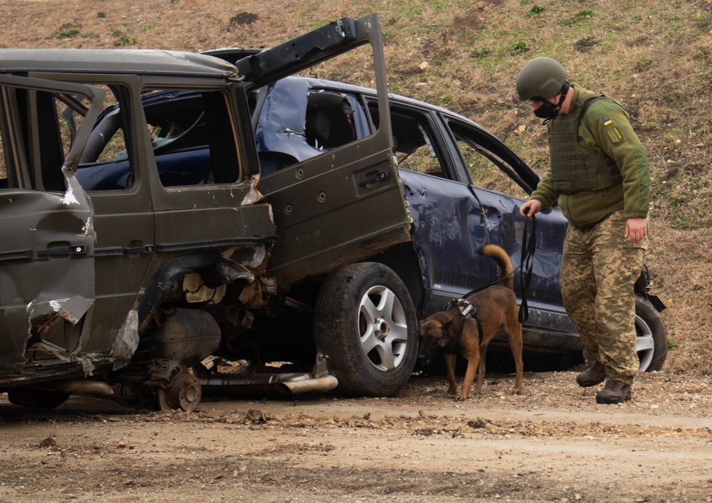 KFOR Soldiers conduct obstacle and barrier removal training