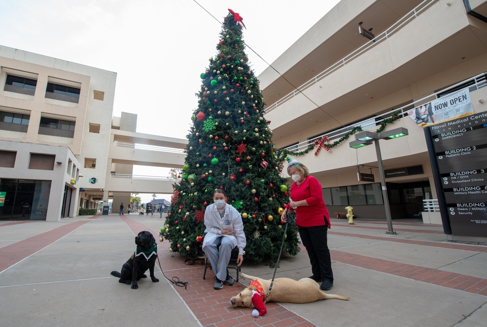 NMCSD Facility Dogs Bring Holiday Cheer