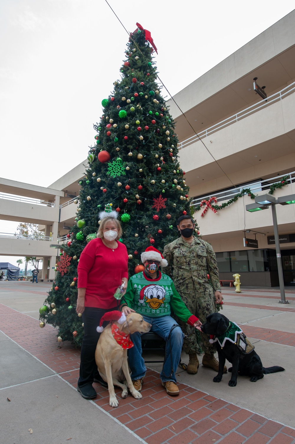 NMCSD's Facility Dogs Bring Holiday Cheer