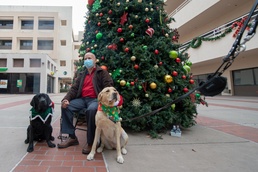 NMCSD's Facility Dogs Bring Holiday Cheer