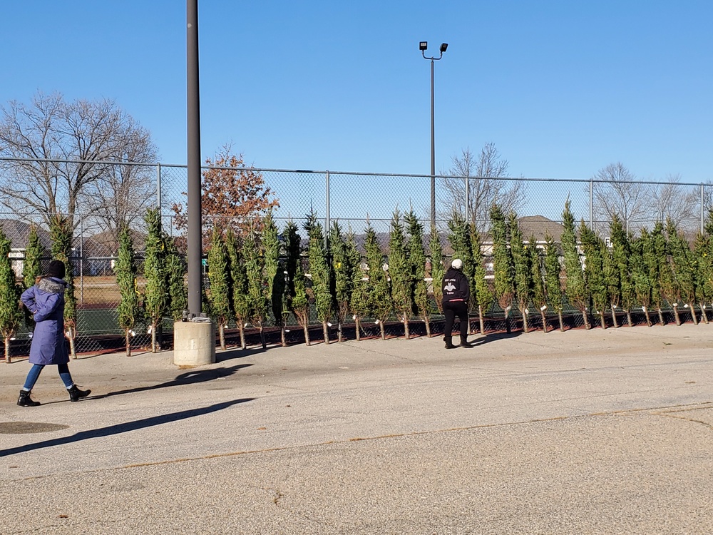 Trees for Troops 2020 brings 80 trees for military families at Fort McCoy