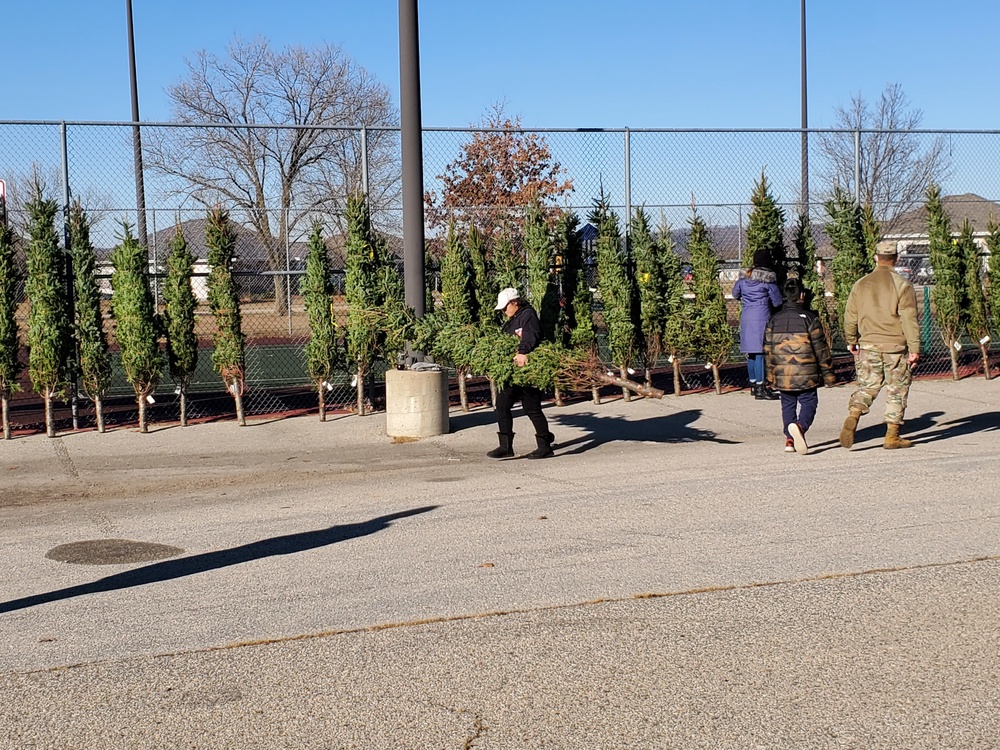 Trees for Troops 2020 brings 80 trees for military families at Fort McCoy