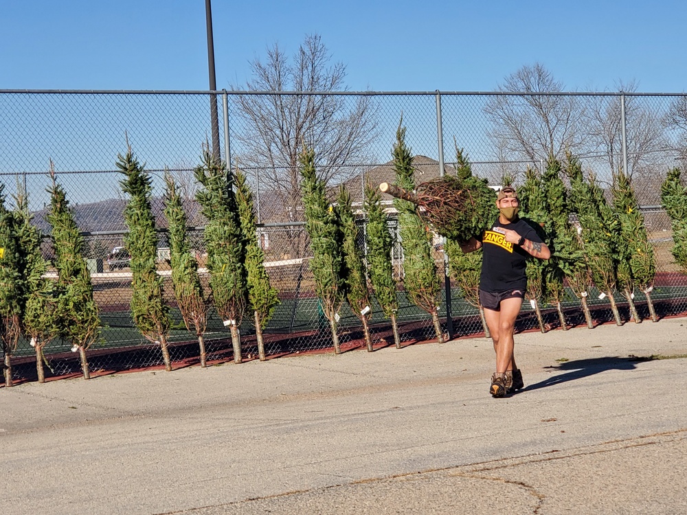 Trees for Troops 2020 brings 80 trees for military families at Fort McCoy