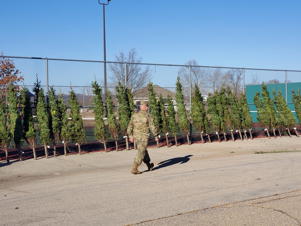 Trees for Troops 2020 brings 80 trees for military families at Fort McCoy