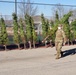 Trees for Troops 2020 brings 80 trees for military families at Fort McCoy